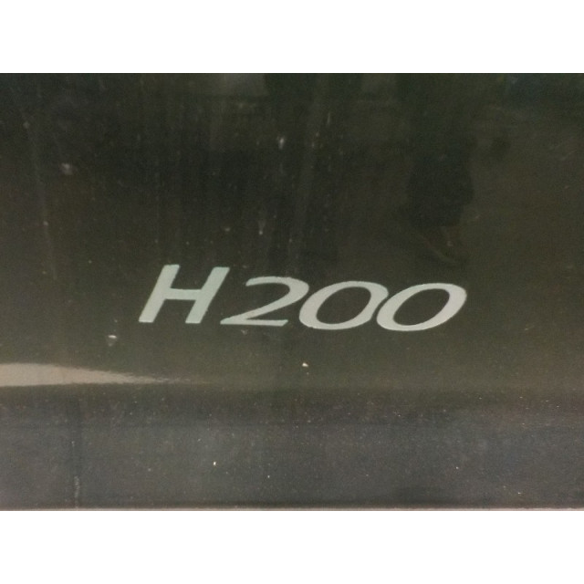 Portier links voor Hyundai H 1/H 200 (2000 - 2000) Van 2.5 TD (D4BF)