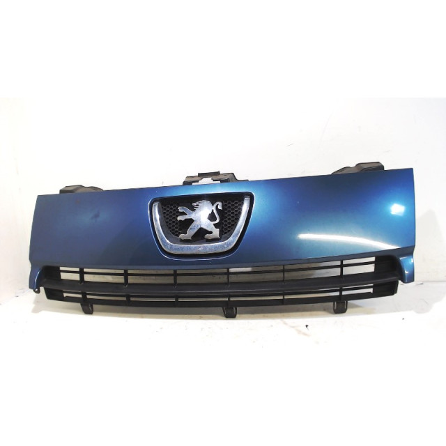 Grille Peugeot Expert Tepee (G9) (2007 - 2016) MPV 2.0 HDi 120 (DW10UTED4(RHK))