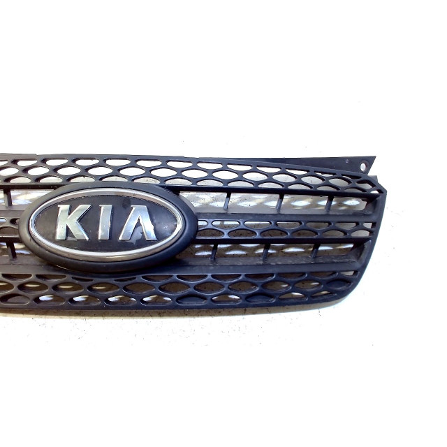 Grille Kia Picanto (BA) (2007 - 2011) Hatchback 1.0 12V (G4HE)