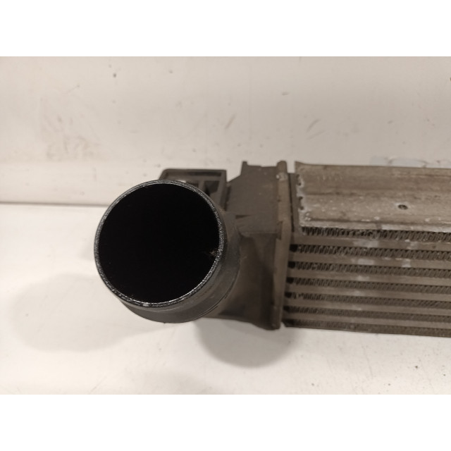 Intercooler radiateur Renault Scénic III (JZ) (2011 - heden) MPV 1.5 dCi 110 (K9K-636)