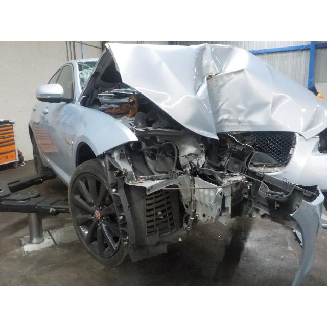 Veiligheidsgordel links achter Jaguar XF (CC9) (2011 - 2015) Sedan 2.2 D 16V (224DT)