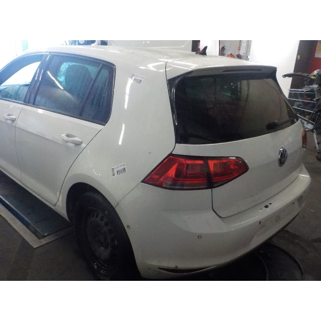 Handrem ontgrendeling Volkswagen Golf VII (AUA) (2013 - 2020) Hatchback 1.6 TDI BlueMotion 16V (CRKB)