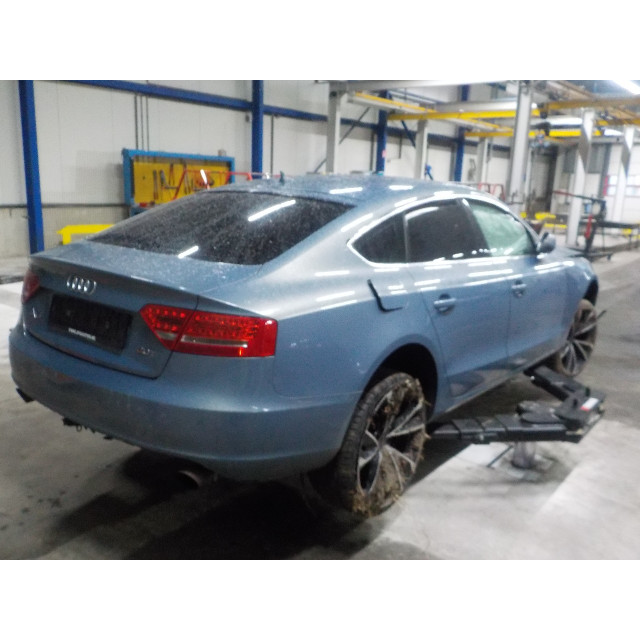 Binnenverlichting Audi A5 Sportback (8TA) (2009 - 2014) Liftback 2.0 TFSI 16V (CDNB(Euro 5))