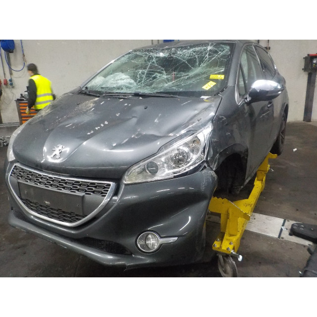 Gasdrukveerset achter Peugeot 208 I (CA/CC/CK/CL) (2012 - 2019) Hatchback 1.4 16V (EP3C(8FP))