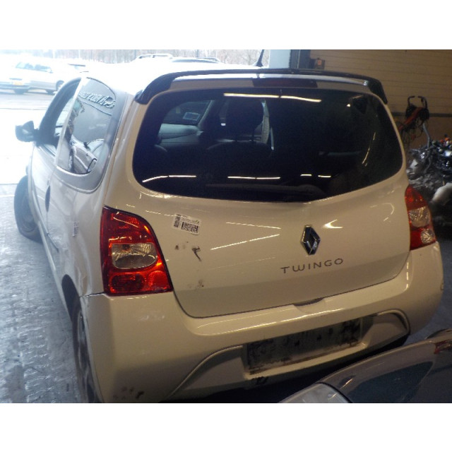 Gasdrukveerset achter Renault Twingo II (CN) (2007 - 2014) Hatchback 3-drs 1.2 16V (D4F-770)