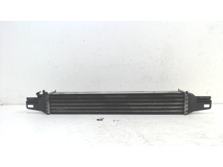 Intercooler radiateur Fiat Fiorino (225) (2008 - heden) Van 1.3 JTD 16V Multijet (199.A.2000)