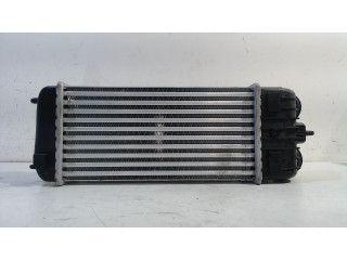 Intercooler radiateur Peugeot 207/207+ (WA/WC/WM) (2007 - 2012) Hatchback 1.6 16V VTi (EP6(5FW))